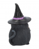 Schwarze Katze mit Hexenhut 