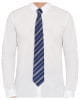 Harry Potter Ravenclaw Tie With Pin 