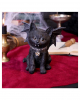 Black Cat Vampuss 16cm 