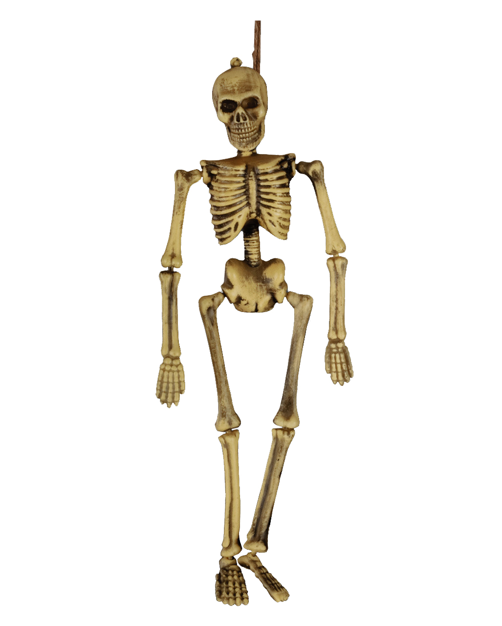 Bewegliches Deko Skelett Modellskelett Halloweendeko Gerippe Figur weiß 160 cm