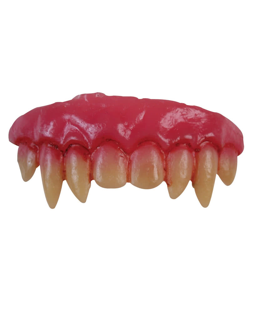 Bloody vampire teeth for insertion Vampire teeth with sharp canines