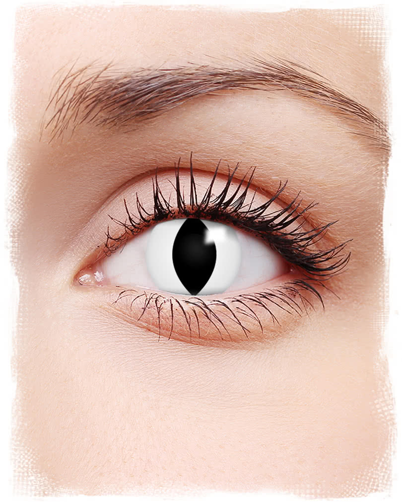 Cat Eye Contact Lenses | Black and White Cat Motif Lenses ...