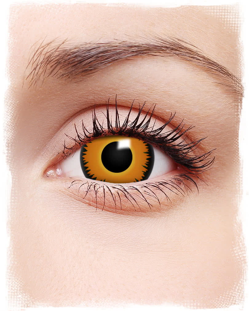 Mini Sclera Contact Lenses Orange Werewolf Coloured Contact Lenses Horror 