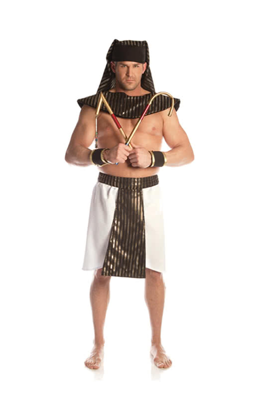 Pharaoh Ramses Premium Costume One Size | Agyptischer king panel ...