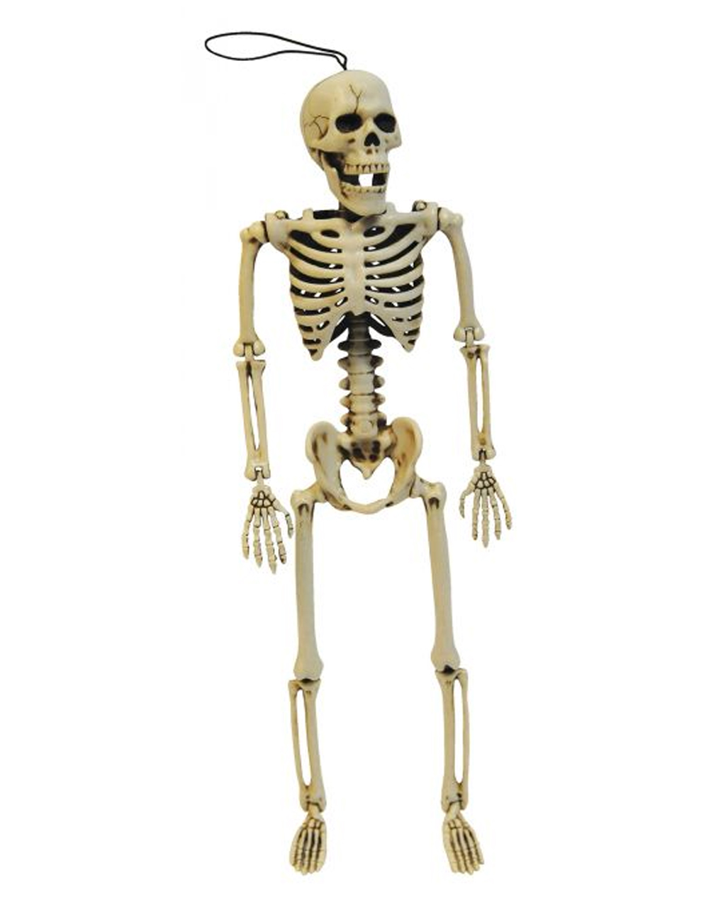 Positionable Skeleton 35cm, Halloween skeleton