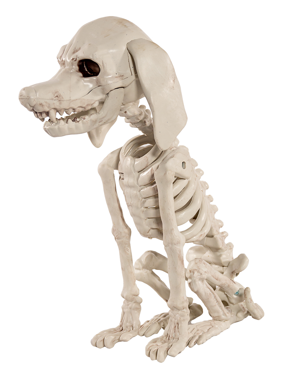 Halloween skeleton on sale talking poodle dog