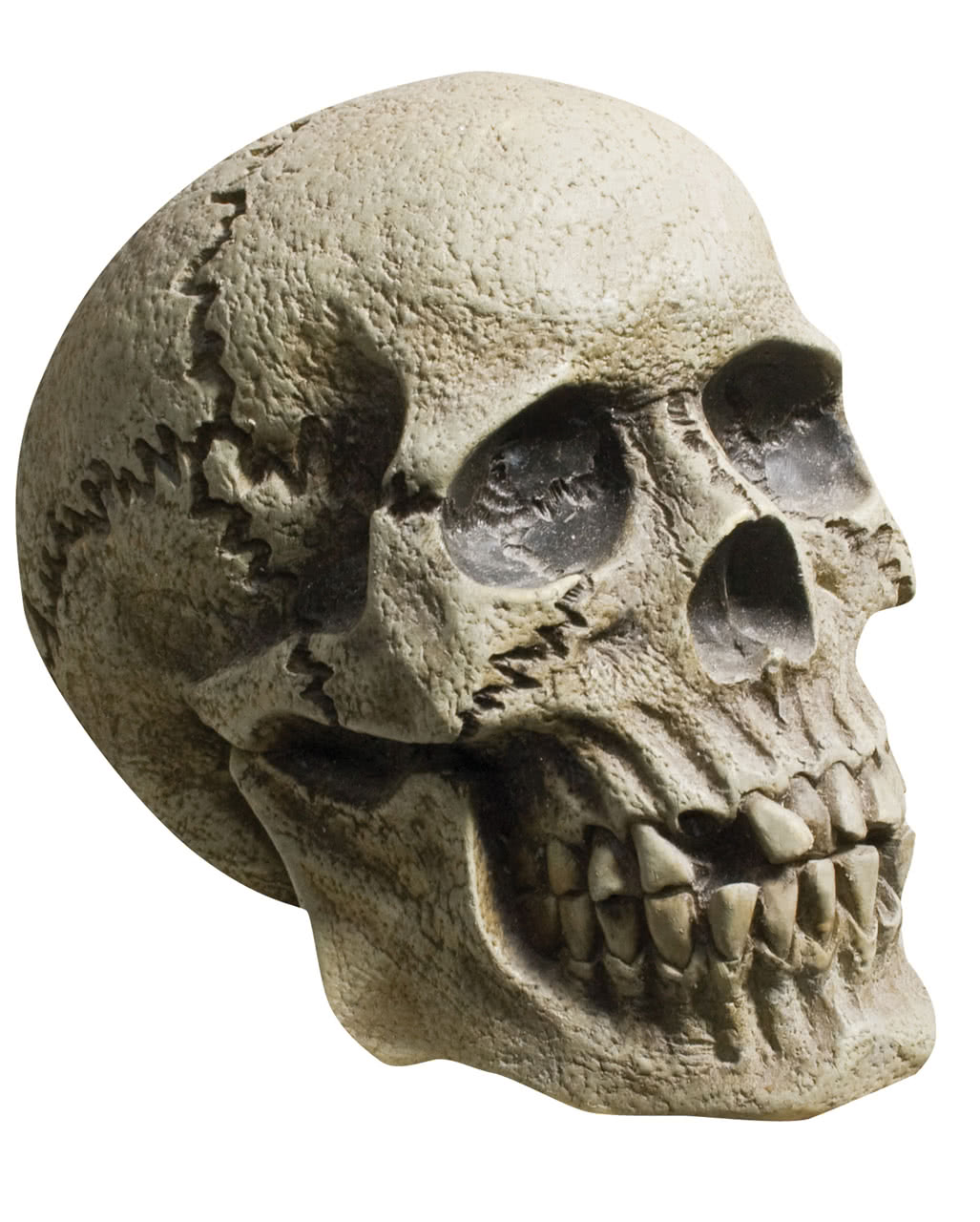 Totenschädel Stacheldraht Skull Halloween Gothic Totenkopf Dekoration