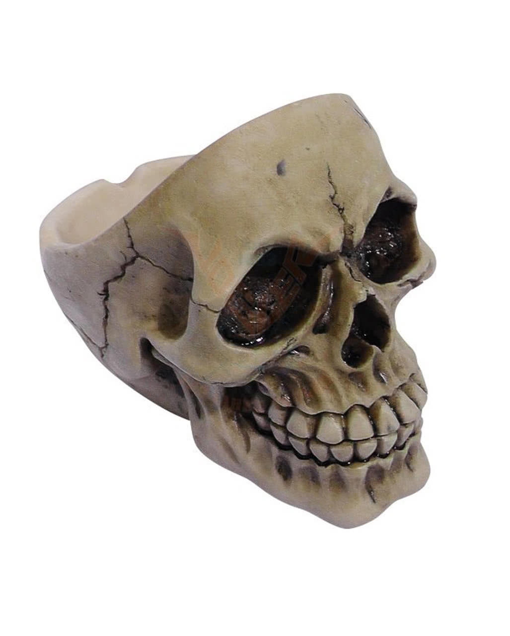 Skull Ashtray ☠ gift idea