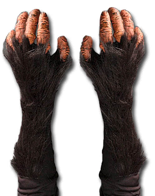 https://inst-1.cdn.shockers.de/hs_cdn/out/pictures/master/product/1/schimpansen-handschuhe-tierhandschuhe-chimp-gloves-15347.jpg