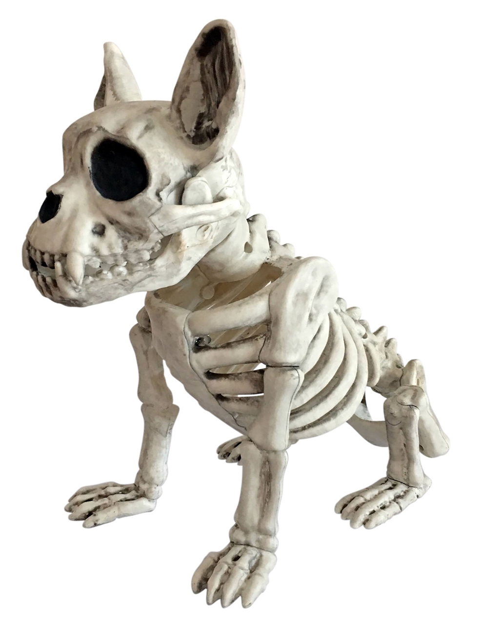 Sitting Skeleton Dog 28cm | Buy NOW ????! Horror-Shop.com
