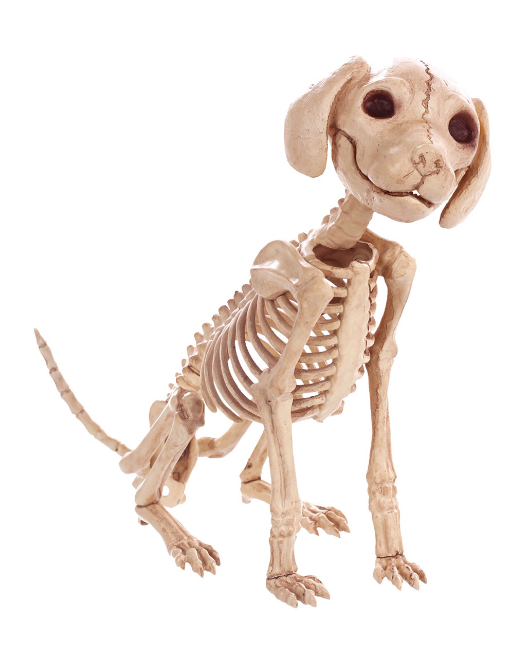 Sitzendes Hunde Skelett Halloween Deko Skeleton Sitting Puppy Halloween Deco 38862 01 