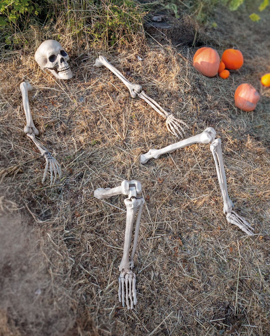 Skeleton Decoration For The Garden, Halloween garden decoration