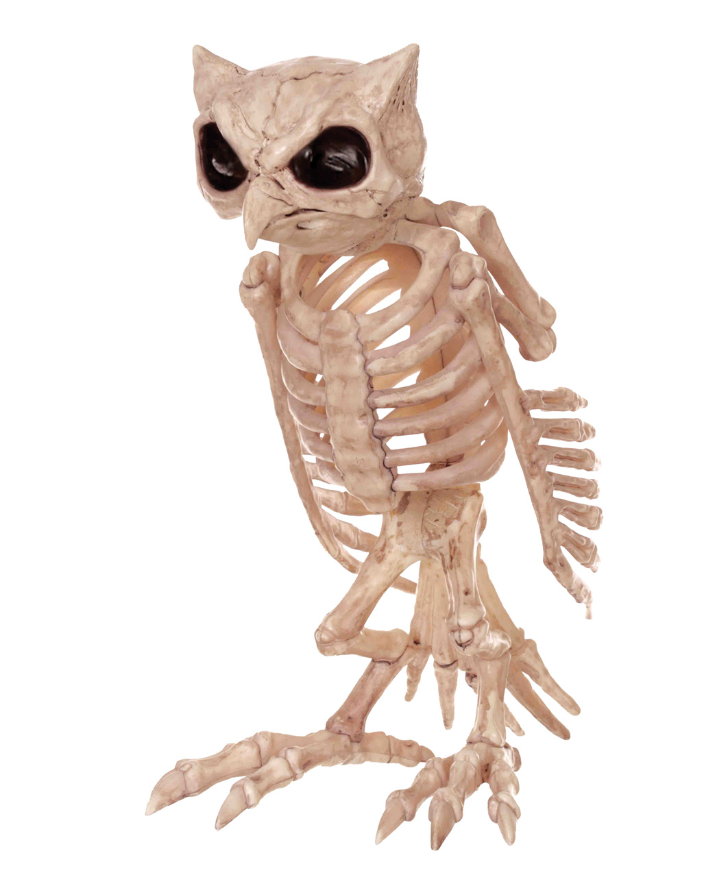 Eulen Skelett als Knochen Deko für Halloween | Horror-Shop.com