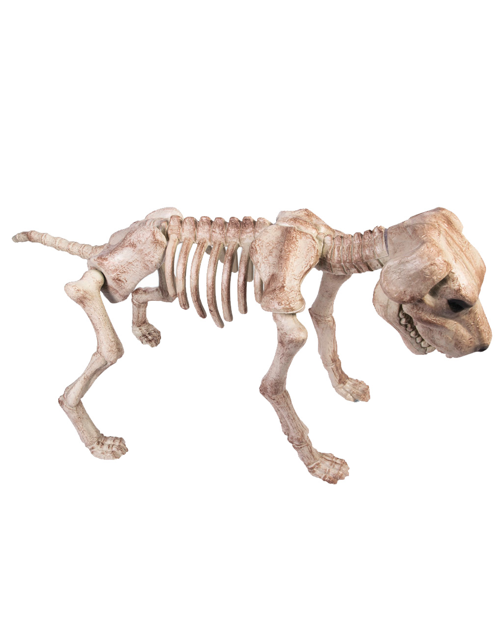 Skeleton Dog Decoration Halloween order 🎃 | Horror-Shop.com