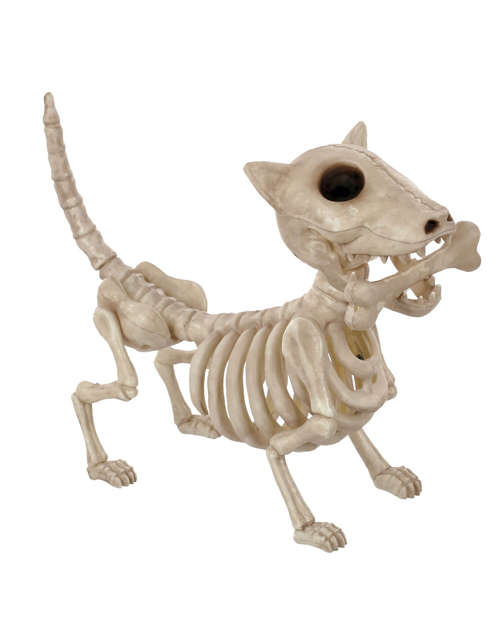 Skeleton Dog With Bone 27cm, Halloween skeleton