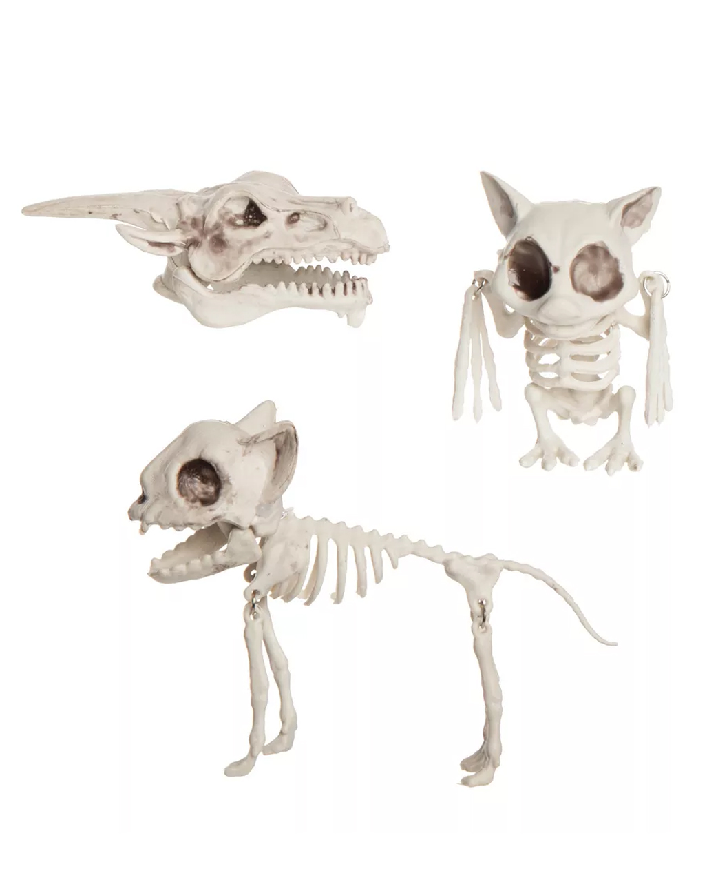 Tier Skelette im Netz 3 St. ➤ JETZT online bestellen