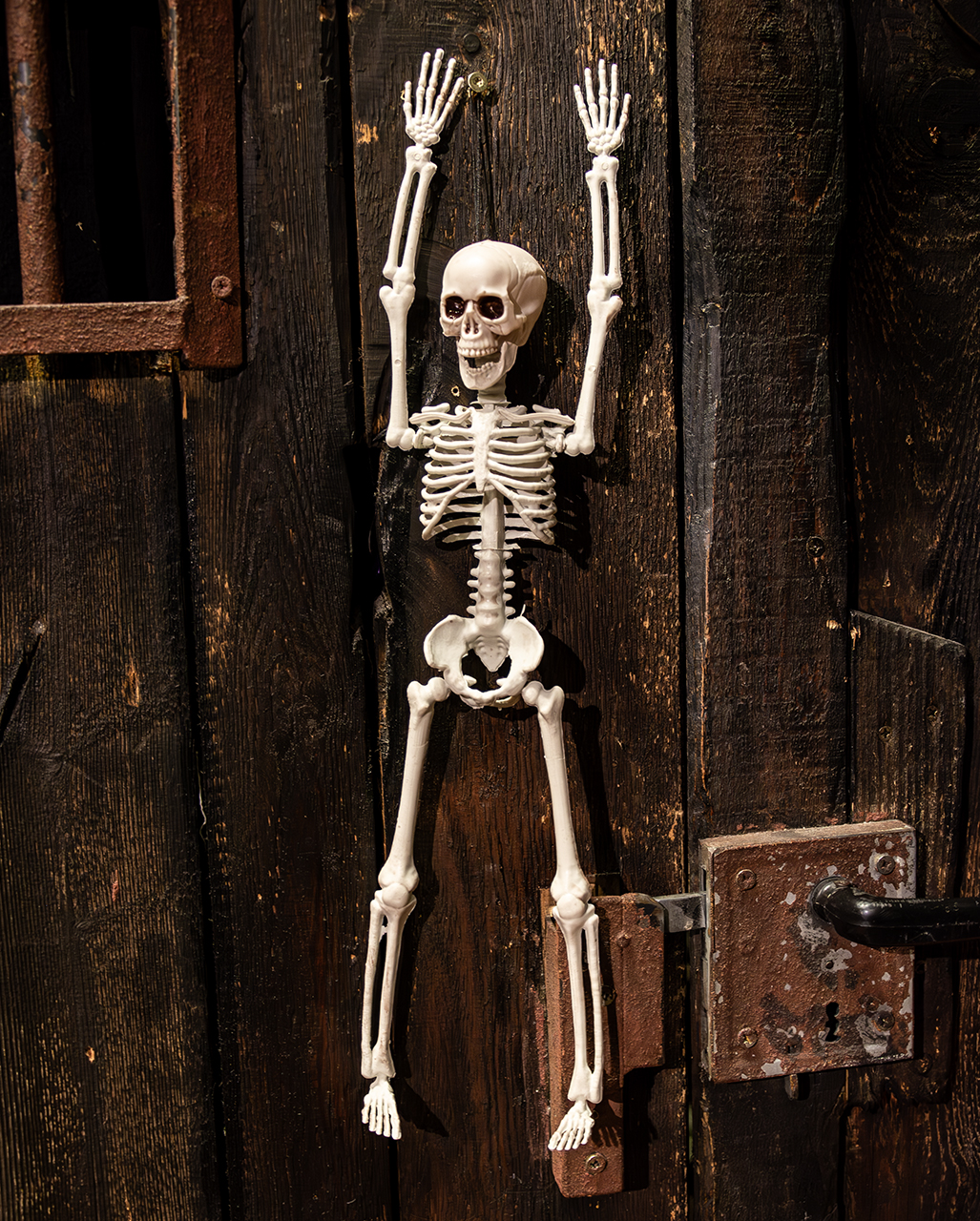 Halloween Skelett 40 cm als Halloween Deko kaufen