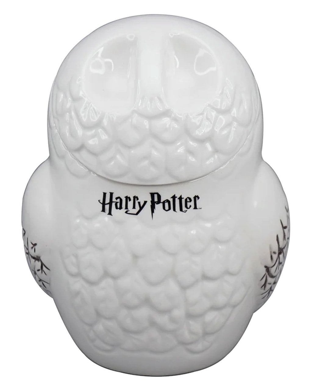 Harry Potter Spardose – Keramik, Handbemalt, Mit Harry Und Hedwig Motiv