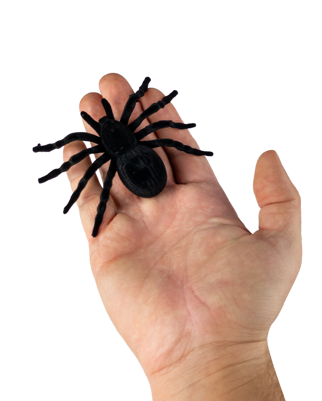 Schwarze Halloween Spinnen 4 St. als Halloween Deko | Horror-Shop.com