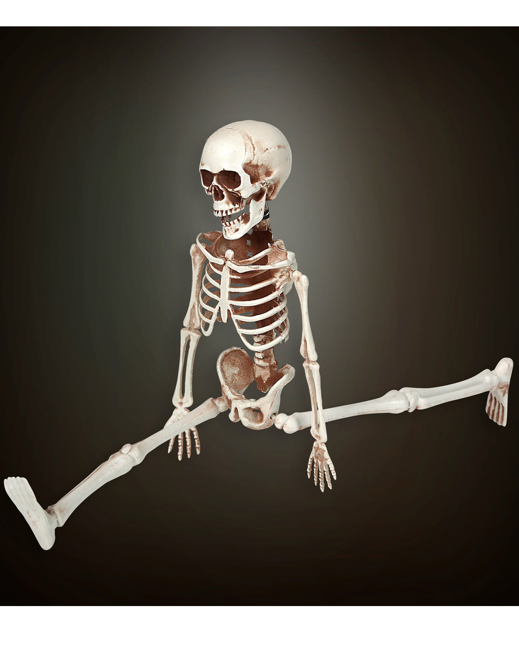 Skelett ca 40cm  Halloween Neu Deko 