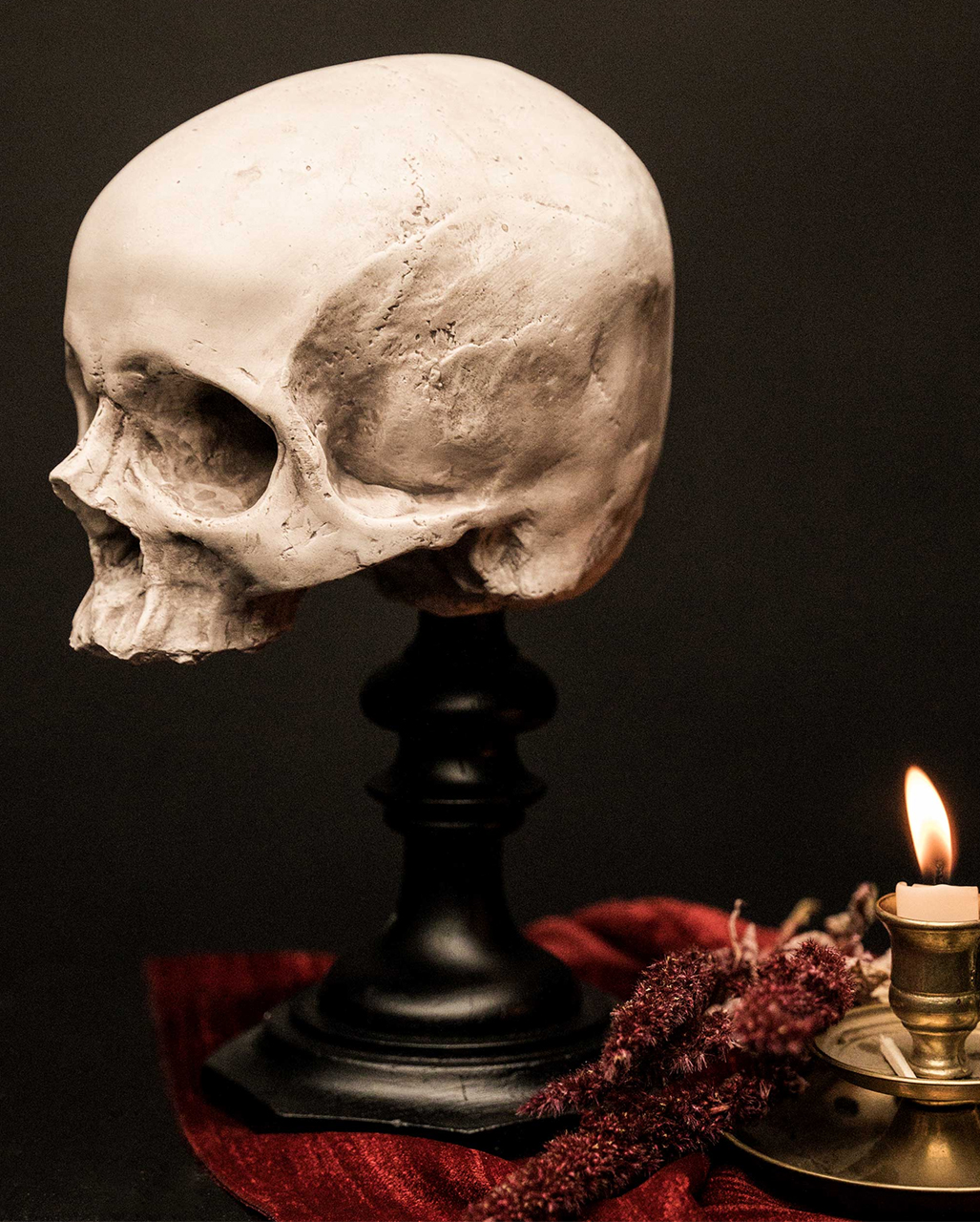 Friday mystery object #231 answer | Zygoma