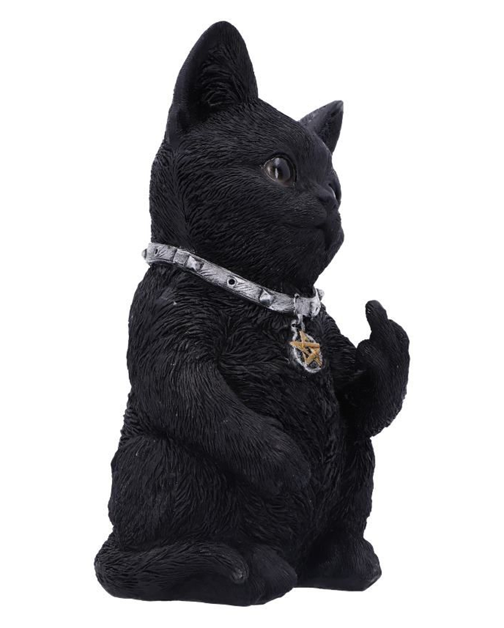  Katze Stinkefinger, schwarz