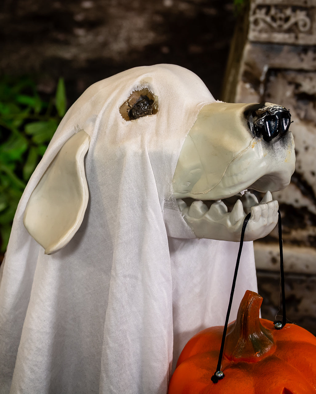 Décoration Halloween Animatronic - Lot De 4 Chiens Fantômes Lumineux - Neuf